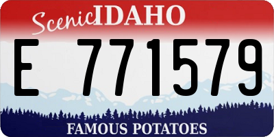 ID license plate E771579