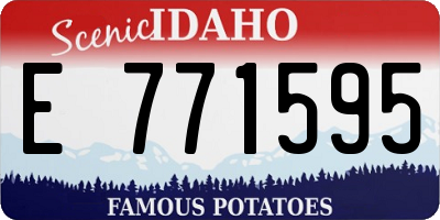 ID license plate E771595