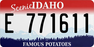 ID license plate E771611