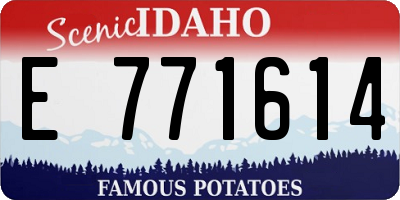ID license plate E771614