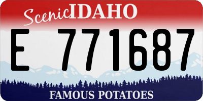 ID license plate E771687