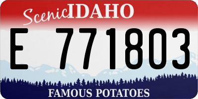 ID license plate E771803