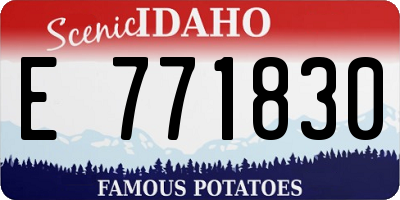 ID license plate E771830