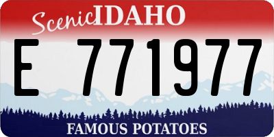 ID license plate E771977