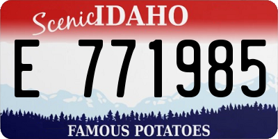ID license plate E771985