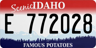 ID license plate E772028