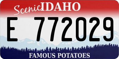 ID license plate E772029