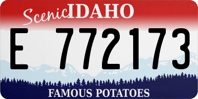 ID license plate E772173