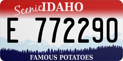 ID license plate E772290