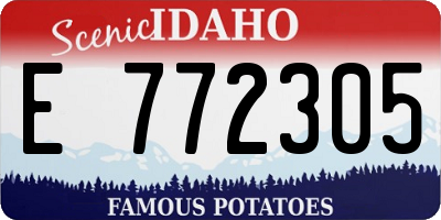 ID license plate E772305
