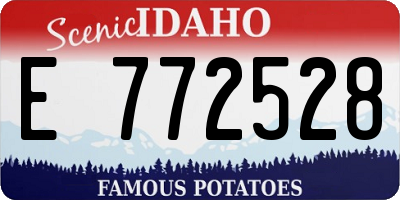 ID license plate E772528