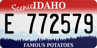 ID license plate E772579