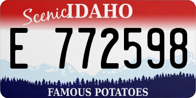 ID license plate E772598