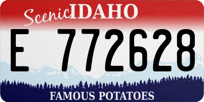 ID license plate E772628