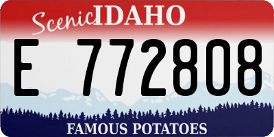 ID license plate E772808