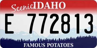 ID license plate E772813