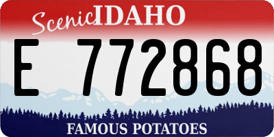 ID license plate E772868