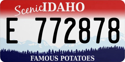 ID license plate E772878