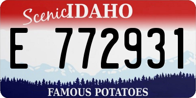 ID license plate E772931