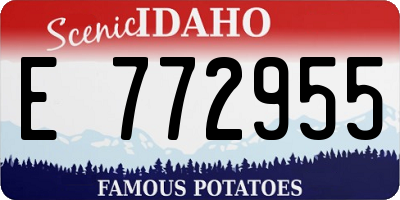 ID license plate E772955