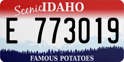 ID license plate E773019
