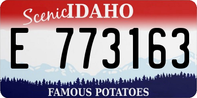ID license plate E773163