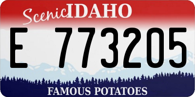 ID license plate E773205