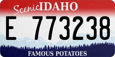 ID license plate E773238