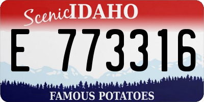 ID license plate E773316