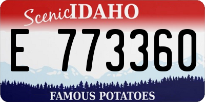 ID license plate E773360