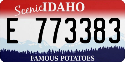 ID license plate E773383