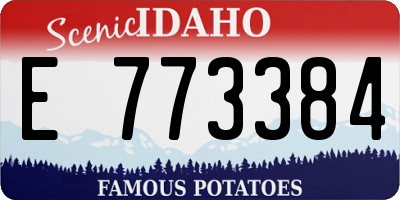 ID license plate E773384