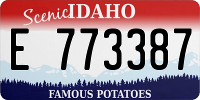 ID license plate E773387
