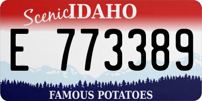 ID license plate E773389