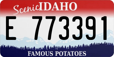 ID license plate E773391