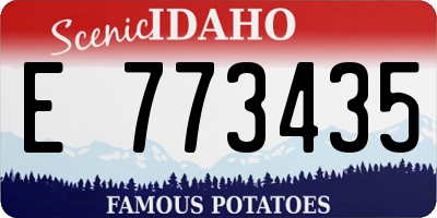ID license plate E773435