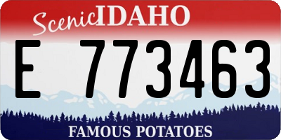 ID license plate E773463