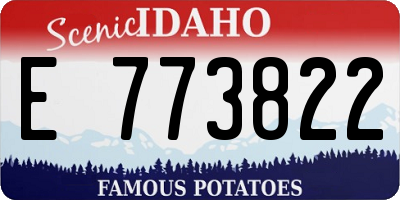 ID license plate E773822