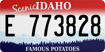 ID license plate E773828