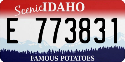 ID license plate E773831