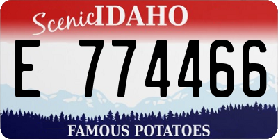 ID license plate E774466