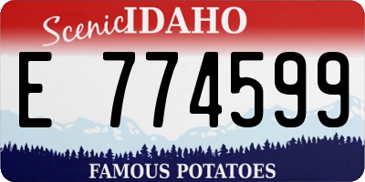 ID license plate E774599