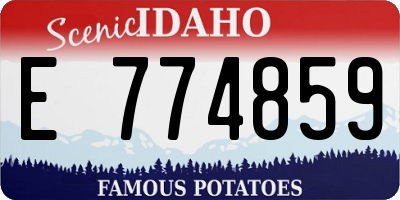 ID license plate E774859