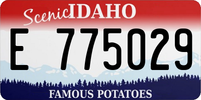 ID license plate E775029