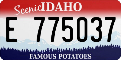 ID license plate E775037
