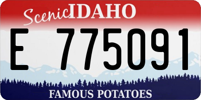 ID license plate E775091