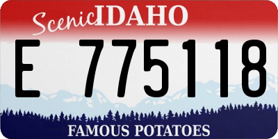 ID license plate E775118