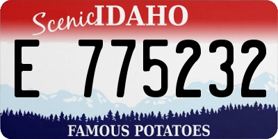 ID license plate E775232