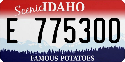 ID license plate E775300