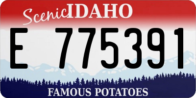 ID license plate E775391